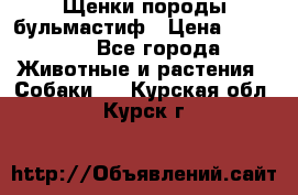 Щенки породы бульмастиф › Цена ­ 25 000 - Все города Животные и растения » Собаки   . Курская обл.,Курск г.